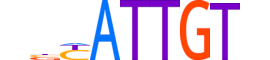 SOX18.H12CORE.0.SM.B motif logo (SOX18 gene, SOX18_HUMAN protein)