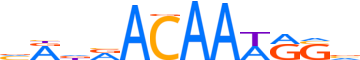 SOX2.H12CORE.0.P.B reverse-complement motif logo (SOX2 gene, SOX2_HUMAN protein)