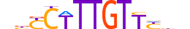 SOX4.H12CORE.0.PSM.A motif logo (SOX4 gene, SOX4_HUMAN protein)