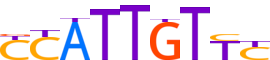 SOX7.H12CORE.0.PS.A motif logo (SOX7 gene, SOX7_HUMAN protein)