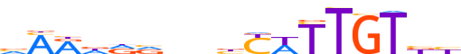 SOX8.H12CORE.0.PSM.A motif logo (SOX8 gene, SOX8_HUMAN protein)