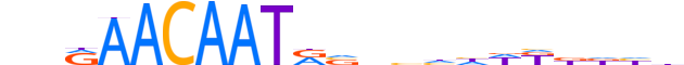 SOX9.H12CORE.0.PS.A reverse-complement motif logo (SOX9 gene, SOX9_HUMAN protein)