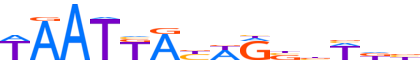 SP9.H12CORE.0.P.B motif logo (SP9 gene, SP9_HUMAN protein)