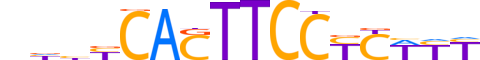 SPIB.H12CORE.0.P.B reverse-complement motif logo (SPIB gene, SPIB_HUMAN protein)