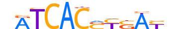 SRBP2.H12CORE.2.M.C reverse-complement motif logo (SREBF2 gene, SRBP2_HUMAN protein)