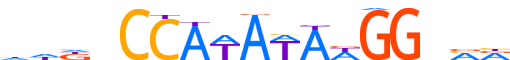 SRF.H12CORE.0.PSM.A reverse-complement motif logo (SRF gene, SRF_HUMAN protein)