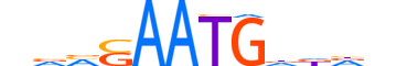 SRY.H12CORE.0.S.B reverse-complement motif logo (SRY gene, SRY_HUMAN protein)