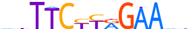 STA5B.H12CORE.0.P.B motif logo (STAT5B gene, STA5B_HUMAN protein)