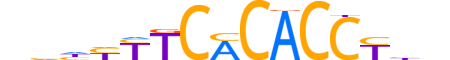 TBX1.H12CORE.0.S.B reverse-complement motif logo (TBX1 gene, TBX1_HUMAN protein)