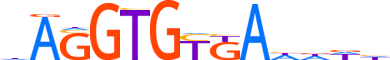 TBX19.H12CORE.1.SM.B motif logo (TBX19 gene, TBX19_HUMAN protein)