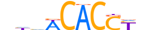 TBX2.H12CORE.0.SM.B reverse-complement motif logo (TBX2 gene, TBX2_HUMAN protein)