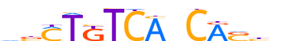 TBX20.H12CORE.0.P.C reverse-complement motif logo (TBX20 gene, TBX20_HUMAN protein)
