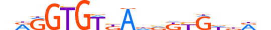 TBX20.H12CORE.2.SM.B motif logo (TBX20 gene, TBX20_HUMAN protein)