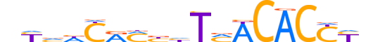 TBX20.H12CORE.2.SM.B reverse-complement motif logo (TBX20 gene, TBX20_HUMAN protein)