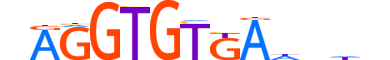 TBX21.H12CORE.0.PSM.A motif logo (TBX21 gene, TBX21_HUMAN protein)