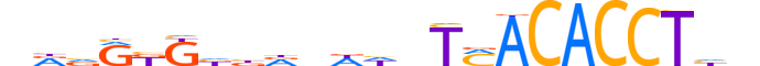 TBX4.H12CORE.1.S.B reverse-complement motif logo (TBX4 gene, TBX4_HUMAN protein)