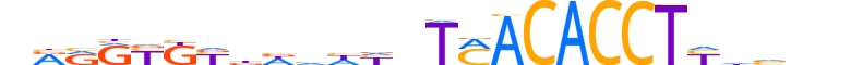TBX5.H12CORE.2.S.B reverse-complement motif logo (TBX5 gene, TBX5_HUMAN protein)