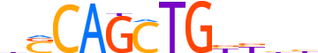 TCF21.H12CORE.0.PS.A reverse-complement motif logo (TCF21 gene, TCF21_HUMAN protein)