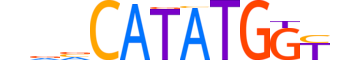 TCF21.H12CORE.1.SM.B motif logo (TCF21 gene, TCF21_HUMAN protein)