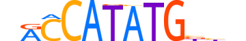 TCF21.H12CORE.1.SM.B reverse-complement motif logo (TCF21 gene, TCF21_HUMAN protein)