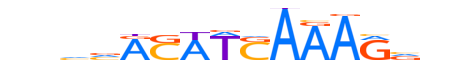 TCF7.H12CORE.0.PSM.A motif logo (TCF7 gene, TCF7_HUMAN protein)