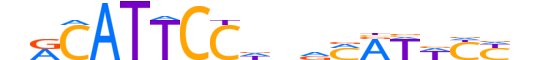 TEAD3.H12CORE.1.S.B motif logo (TEAD3 gene, TEAD3_HUMAN protein)