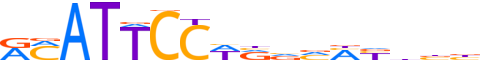 TEAD4.H12CORE.1.P.B motif logo (TEAD4 gene, TEAD4_HUMAN protein)