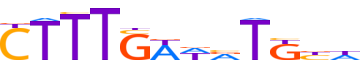 TF7L1.H12CORE.1.P.C motif logo (TCF7L1 gene, TF7L1_HUMAN protein)