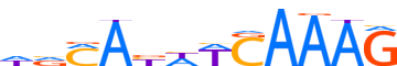 TF7L1.H12CORE.1.P.C reverse-complement motif logo (TCF7L1 gene, TF7L1_HUMAN protein)