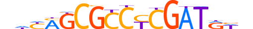 TF7L1.H12CORE.2.S.C motif logo (TCF7L1 gene, TF7L1_HUMAN protein)