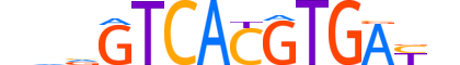 TFEC.H12CORE.0.M.B motif logo (TFEC gene, TFEC_HUMAN protein)