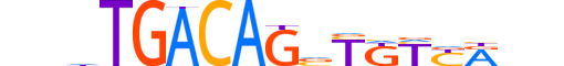 TGIF1.H12CORE.1.S.B motif logo (TGIF1 gene, TGIF1_HUMAN protein)