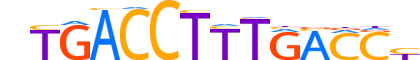 THB.H12CORE.2.SM.B reverse-complement motif logo (THRB gene, THB_HUMAN protein)