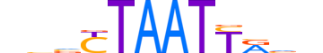 TLX2.H12CORE.0.SM.B reverse-complement motif logo (TLX2 gene, TLX2_HUMAN protein)