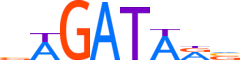 TRPS1.H12CORE.0.P.B motif logo (TRPS1 gene, TRPS1_HUMAN protein)