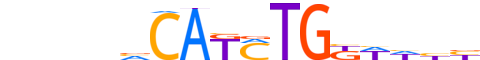 TWST1.H12CORE.1.P.B motif logo (TWIST1 gene, TWST1_HUMAN protein)