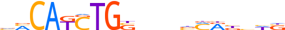 TWST2.H12CORE.0.P.B reverse-complement motif logo (TWIST2 gene, TWST2_HUMAN protein)