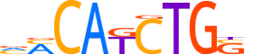 TWST2.H12CORE.1.P.B reverse-complement motif logo (TWIST2 gene, TWST2_HUMAN protein)