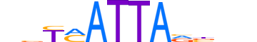 VAX1.H12CORE.0.SM.B motif logo (VAX1 gene, VAX1_HUMAN protein)