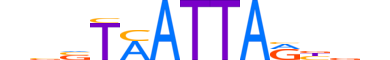 VAX2.H12CORE.0.SM.B motif logo (VAX2 gene, VAX2_HUMAN protein)