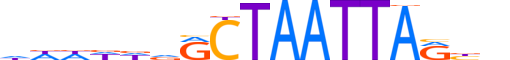 VSX2.H12CORE.1.S.B reverse-complement motif logo (VSX2 gene, VSX2_HUMAN protein)