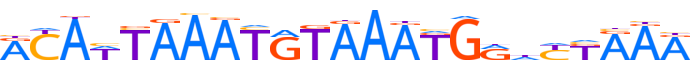 Z354A.H12CORE.0.P.B reverse-complement motif logo (ZNF354A gene, Z354A_HUMAN protein)