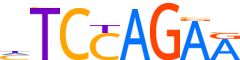 ZBT26.H12CORE.0.PSM.A reverse-complement motif logo (ZBTB26 gene, ZBT26_HUMAN protein)
