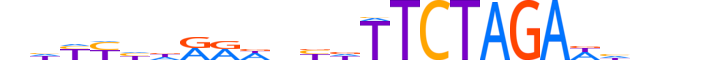 ZBT26.H12CORE.1.SM.B motif logo (ZBTB26 gene, ZBT26_HUMAN protein)