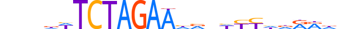 ZBT26.H12CORE.1.SM.B reverse-complement motif logo (ZBTB26 gene, ZBT26_HUMAN protein)