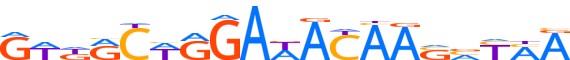 ZFP69.H12CORE.0.P.C motif logo (ZFP69 gene, ZFP69_HUMAN protein)