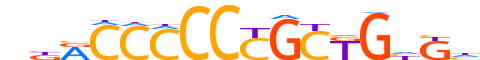 ZIC1.H12CORE.2.S.B reverse-complement motif logo (ZIC1 gene, ZIC1_HUMAN protein)