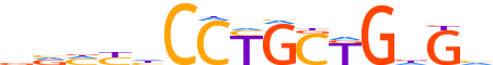 ZIC2.H12CORE.0.P.B reverse-complement motif logo (ZIC2 gene, ZIC2_HUMAN protein)