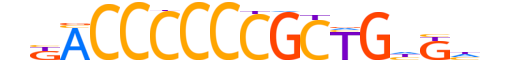 ZIC5.H12CORE.2.S.C reverse-complement motif logo (ZIC5 gene, ZIC5_HUMAN protein)