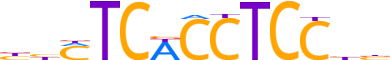 ZKSC5.H12CORE.0.P.C motif logo (ZKSCAN5 gene, ZKSC5_HUMAN protein)